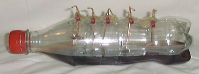 cola bottle plasma reactor with electrodes
